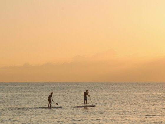 Personnes faisant du paddle au loin en mer