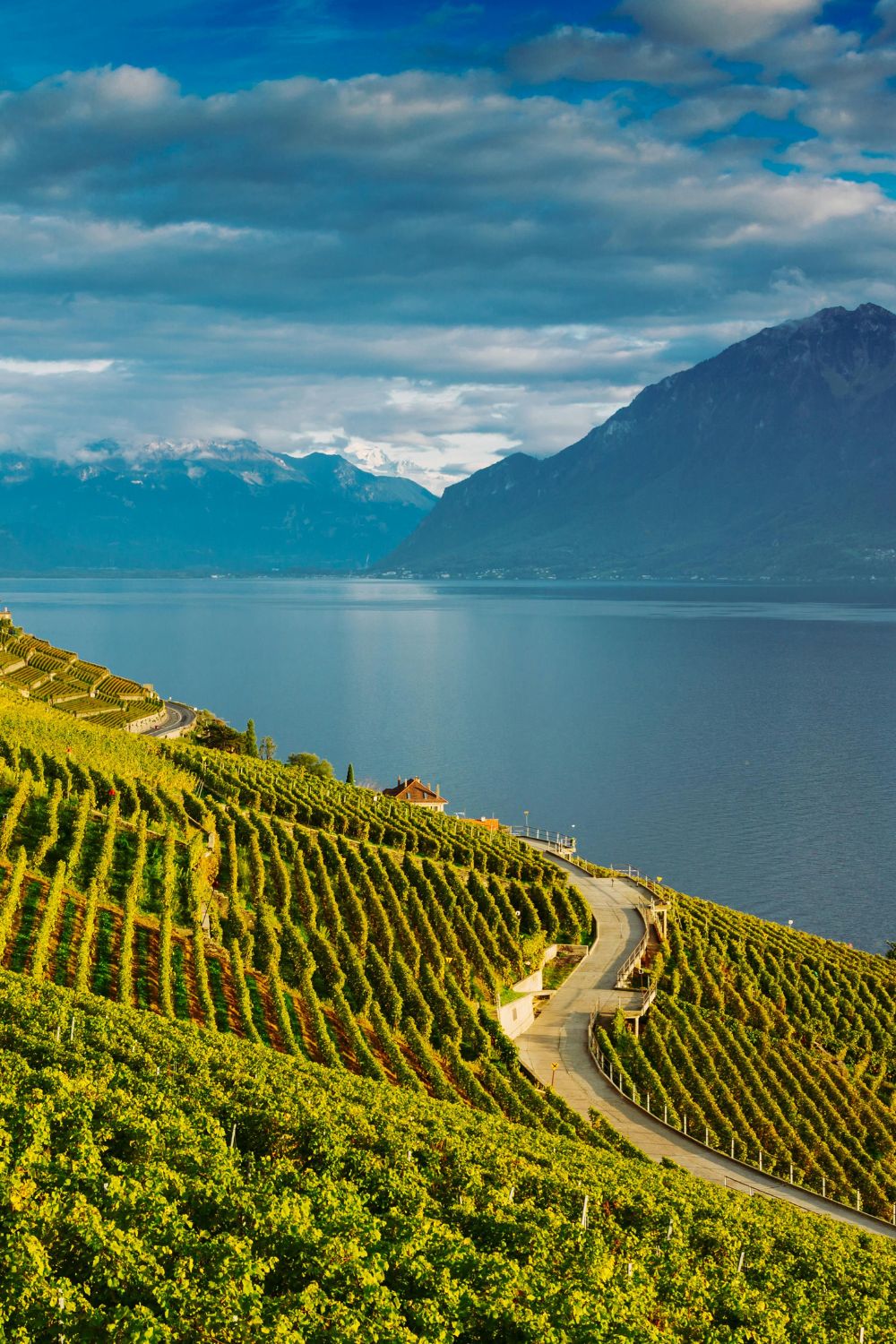 Lac Léman
